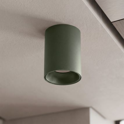 BRILAGI - Spot TRINE 1xGU10/30W/230V vert foncé