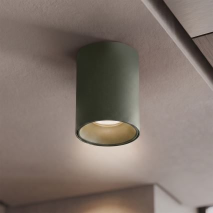 BRILAGI - Spot TRINE 1xGU10/30W/230V vert foncé