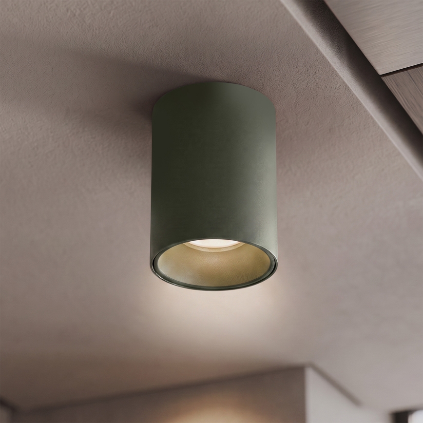 BRILAGI - Spot TRINE 1xGU10/30W/230V vert foncé