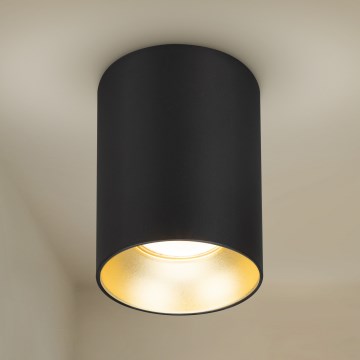 Brilagi - Spot TRINE 1xGU10/30W/230V zwart/goud