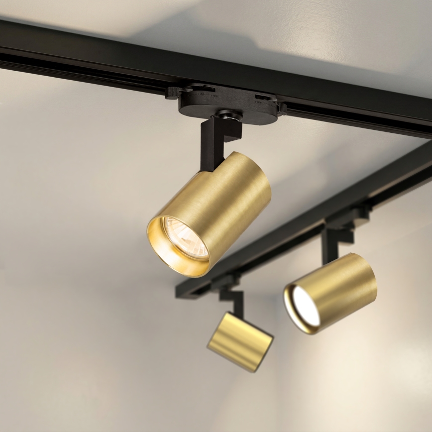 Brilagi - Spot voor railsysteem HUSKY 6x GU10/10W/230V zwart/goud