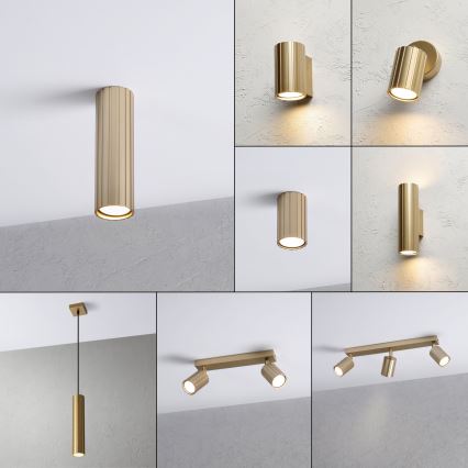 Brilagi - Spotlamp CRISPINA 1xGU10/10W/230V 20 cm goudkleurig