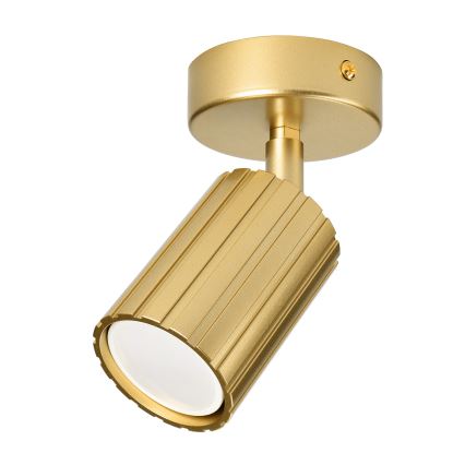 Brilagi - Spotlamp CRISPINA 1xGU10/10W/230V goudkleurig