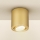 Brilagi - Spotlamp MIA 1xGU10/30W/230V 84x80 mm goud