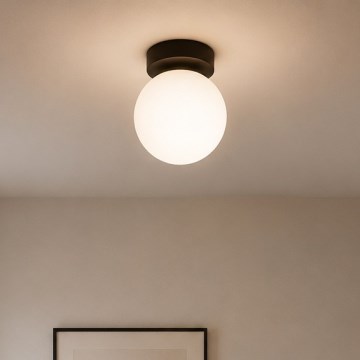 Brilagi - Spotlamp MILO 1xE27/60W/230V zwart