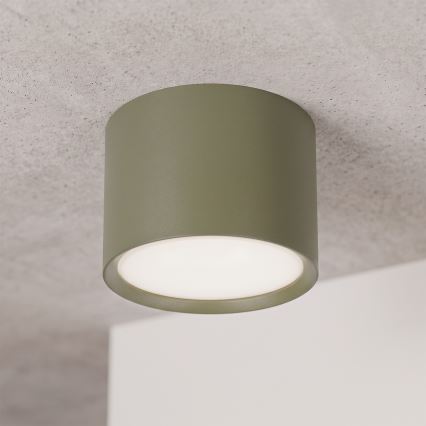 BRILAGI - Spotlamp SMOOTH 1xGX53/15W/230V 60x82 mm donkergroen