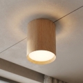 BRILAGI - Spotlamp SMOOTH LONG 1xGX53/15W/230V 100x82 mm eiken decor
