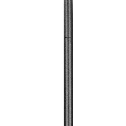Brilagi - Staande Lamp SELE 3xGU10/30W/230V zwart