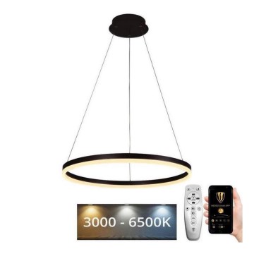 Brilagi - Suspension dimmable sur câble CIRCLE LED/42W/230V 3000-6500K Ø 60 cm + télécommande
