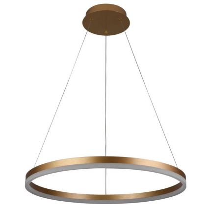 Brilagi - Suspension filaire à intensité variable CIRCLE LED/42W/230V 3000-6500K + télécommande