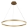 Brilagi - Suspension filaire à intensité variable CIRCLE LED/55W/230V 3000-6500K doré + télécommande