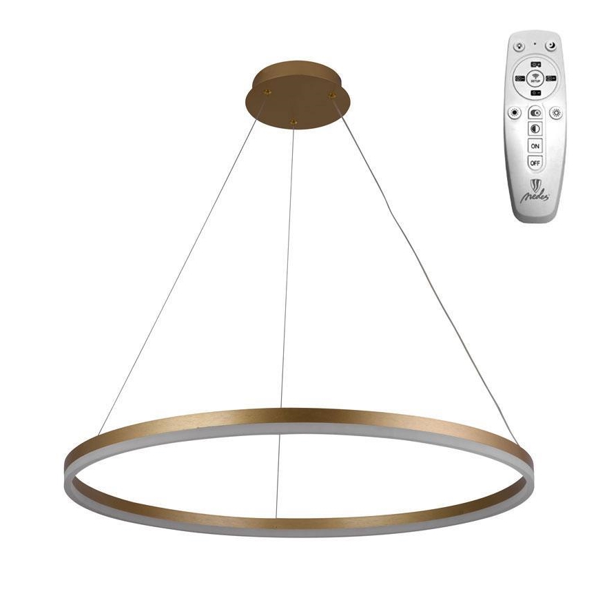 Brilagi - Suspension filaire à intensité variable CIRCLE LED/55W/230V 3000-6500K doré + télécommande