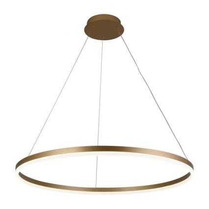 Brilagi - Suspension filaire à intensité variable CIRCLE LED/55W/230V 3000-6500K doré + télécommande