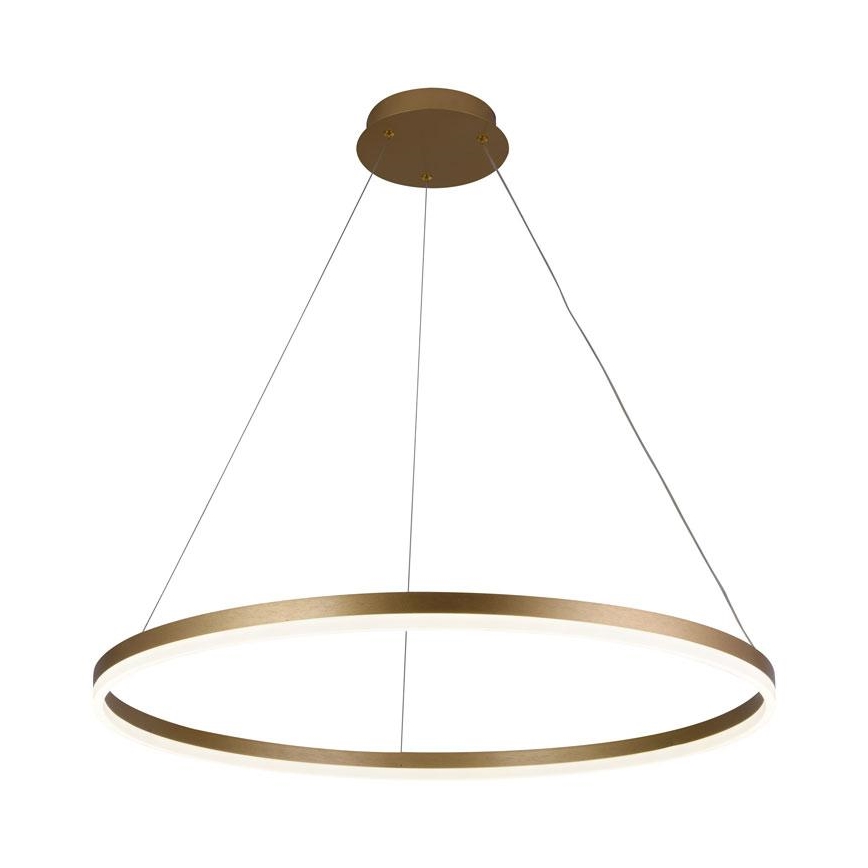 Brilagi - Suspension filaire à intensité variable CIRCLE LED/55W/230V 3000-6500K doré + télécommande