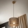 Brilagi - Suspension filaire ANTHONY 1xE27/60W/230V chêne/marron