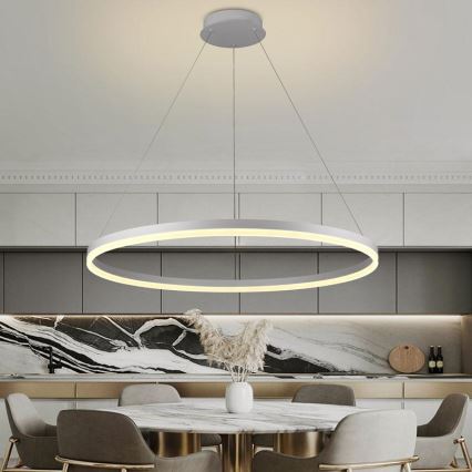 Brilagi - Lustre suspendu dimmable sur câble CIRCLE LED 55W 230V 3000–6500K Ø 80 cm, blanc, avec télécommande