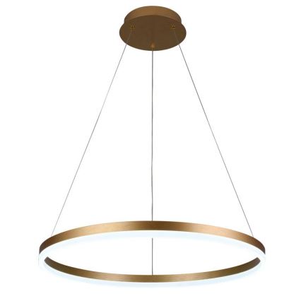 Brilagi - suspension LED dimmable sur câble CIRCLE LED/42W/230V 3000-6500K Ø 60 cm + télécommande