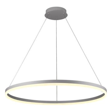 Brilagi - Suspension LED dimmable sur câble CIRCLE LED/55W/230V 3000-6500K Ø 80 cm argentée + télécommande