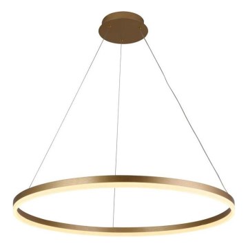 Brilagi - Suspension LED dimmable sur câble CIRCLE LED/55W/230V 3000-6500K Ø 80 cm dorée + télécommande
