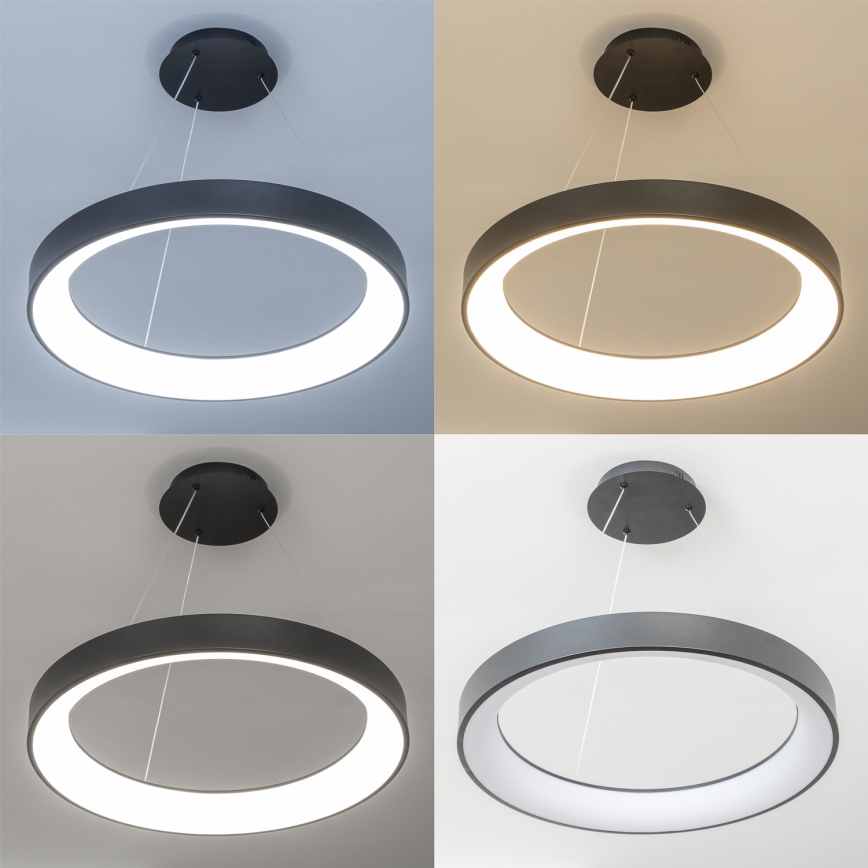 Brilagi - Lustre LED dimmable suspendu sur câble FALCON II LED/99W/230V 3000-6500K Ø 60 cm noir + télécommande