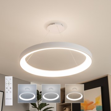 Brilagi - Suspension LED dimmable sur câble FALCON II LED/108W/230V 3000-6500K Ø 80 cm blanc + télécommande