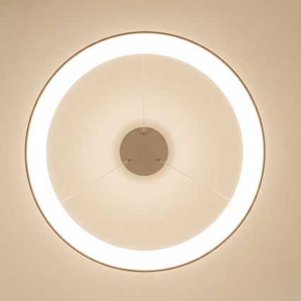 BRILAGI - Lustre LED dimmable sur câble FALCON II LED/108W/230V 3000-6500K Ø 80 cm beige + télécommande