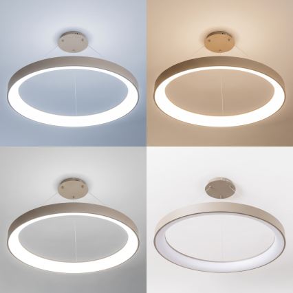 BRILAGI - Lustre LED dimmable sur câble FALCON II LED/108W/230V 3000-6500K Ø 80 cm beige + télécommande