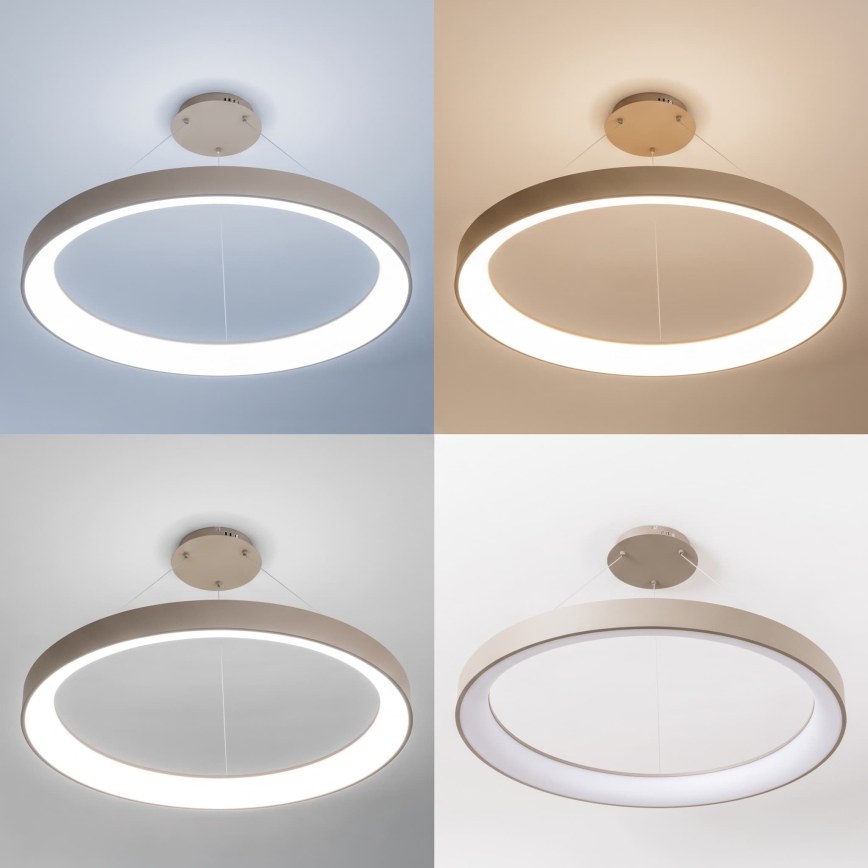 BRILAGI - Lustre LED dimmable sur câble FALCON II LED/108W/230V 3000-6500K Ø 80 cm beige + télécommande