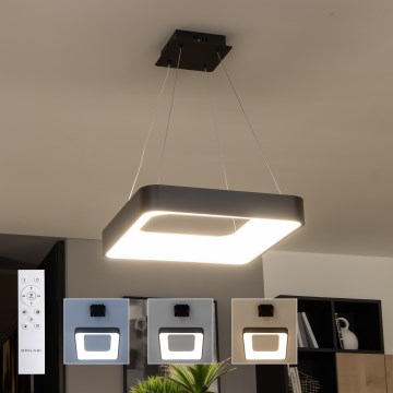 Brilagi - Suspension LED dimmable sur câble FALCON II LED/80W/230V 3000-6500K 40x40 cm noir avec télécommande