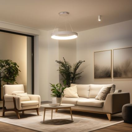 Brilagi - Suspension LED dimmable sur câble FALCON II LED/99W/230V 3000-6500K Ø 60 cm blanche + télécommande