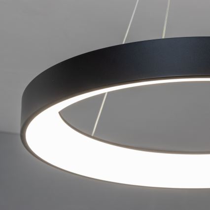 BRILAGI - Suspension LED dimmable sur câble FALCON II LED/99W/230V 3000-6500K Ø 60 cm noire + télécommande