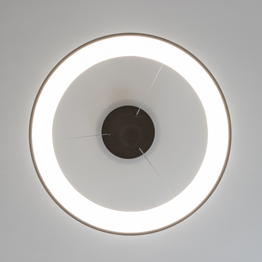 BRILAGI - Suspension LED dimmable sur câble FALCON II LED/99W/230V 3000-6500K Ø 60 cm noire + télécommande