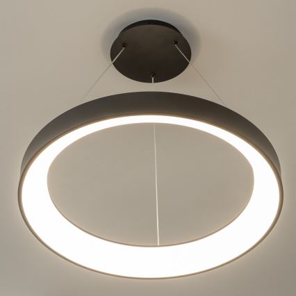 BRILAGI - Suspension LED dimmable sur câble FALCON II LED/99W/230V 3000-6500K Ø 60 cm noire + télécommande