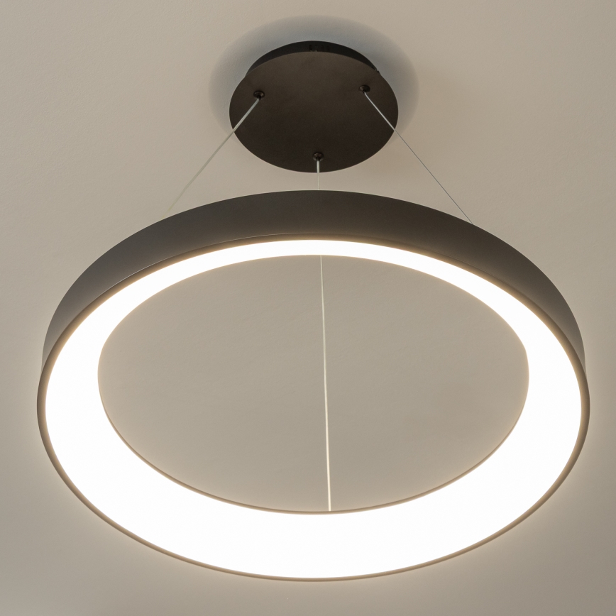 BRILAGI - Suspension LED dimmable sur câble FALCON II LED/99W/230V 3000-6500K Ø 60 cm noire + télécommande