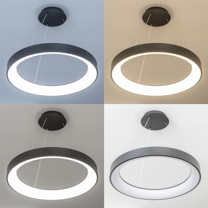BRILAGI - Suspension LED dimmable sur câble FALCON II LED/99W/230V 3000-6500K Ø 60 cm noire + télécommande