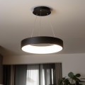 Brilagi - Suspension LED dimmable sur câble FALCON LED/80W/230V 3000-6500K Ø 60 cm noire + télécommande
