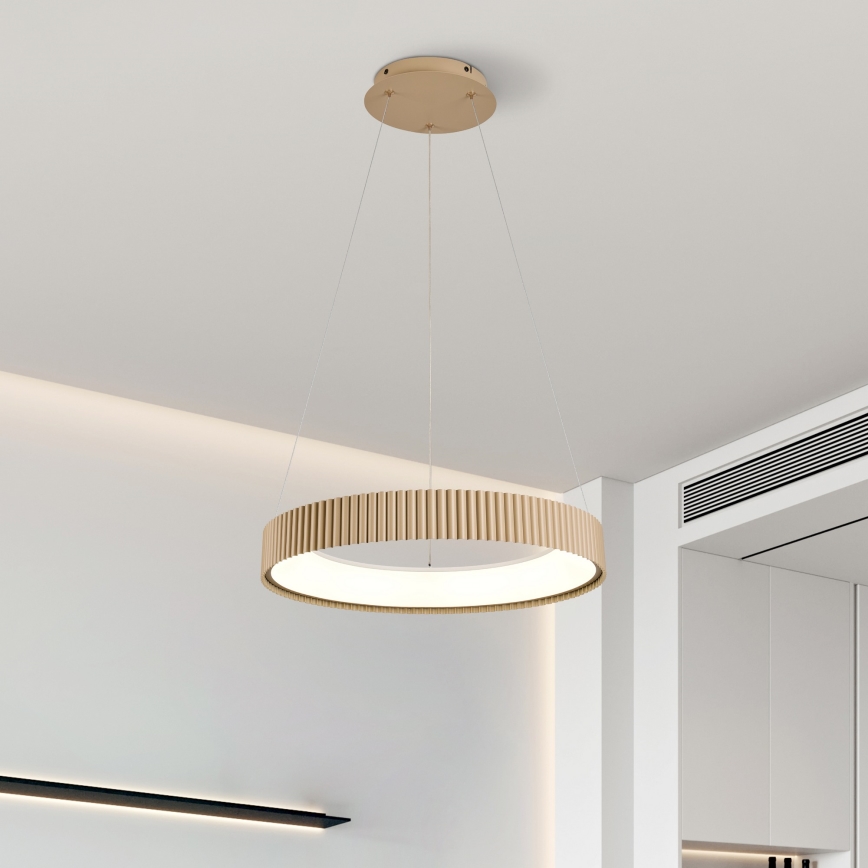 Brilagi - Suspension LED dimmable sur câble FALCON MODERN LED/30W/230V 3000-6500K 40 cm beige + télécommande