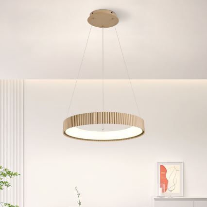 Brilagi - Suspension LED dimmable sur câble FALCON MODERN LED/30W/230V 3000-6500K 40 cm beige + télécommande