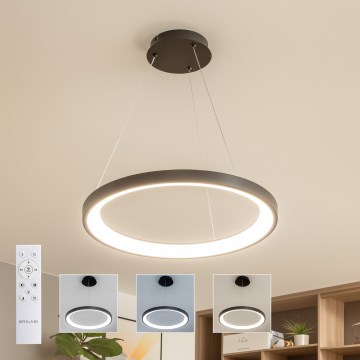 Brilagi - Suspension LED dimmable sur câble FALCON SLIM LED/42W/230V 3000-6500K Ø 50 cm noir + télécommande