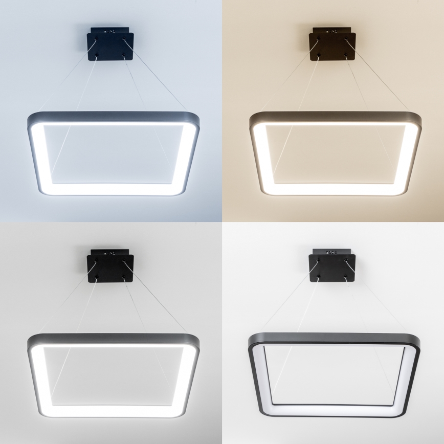 Brilagi - Suspension LED à intensité variable sur câble FALCON SLIM LED/50W/230V 3000-6500K 50x50 cm noir + télécommande