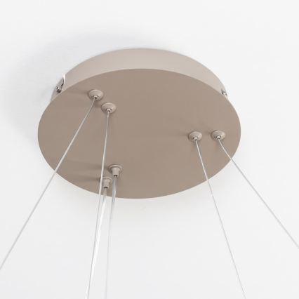 BRILAGI - Lustre LED dimmable sur câble FALCON SLIM LED/68W/230V 3000-6500K Ø 50 cm beige + télécommande