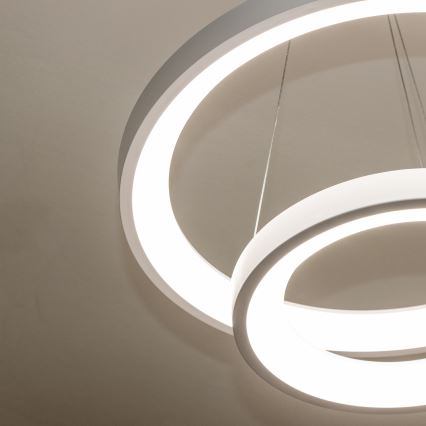 Brilagi - Suspension LED dimmable sur câble FALCON SLIM LED/68W/230V 3000-6500K Ø 50 cm blanc + télécommande incluse