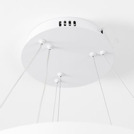 Brilagi - Suspension LED dimmable sur câble FALCON SLIM LED/68W/230V 3000-6500K Ø 50 cm blanc + télécommande incluse