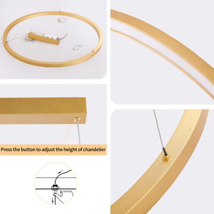 Brilagi - Suspension LED dimmable sur câble PORTOFINO LED/60W/230V 3000-6000K diam. 80 cm dorée + télécommande