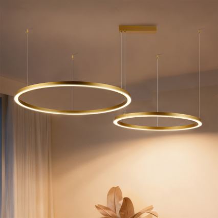 Brilagi - Suspension LED dimmable sur câble PORTOFINO LED/98W/230V 3000-6000K dorée + télécommande