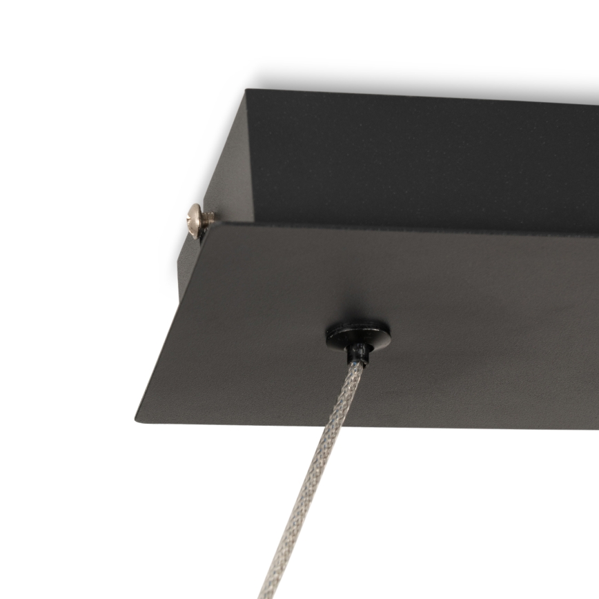 Brilagi - Suspension LED sur câble ECHO LED/60W/230V 4000K 100 cm noire