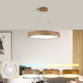 Brilagi - Suspension LED sur câble FALCON WOOD LED/40W/230V 3000/4000/6000K Ø 60 cm bois