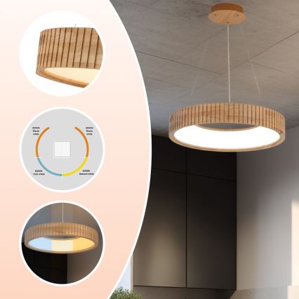Brilagi - Suspension LED sur câble FALCON WOOD MODERN, LED 30 W, 230 V, 3000/4000/6000 K, Ø 45 cm, bois
