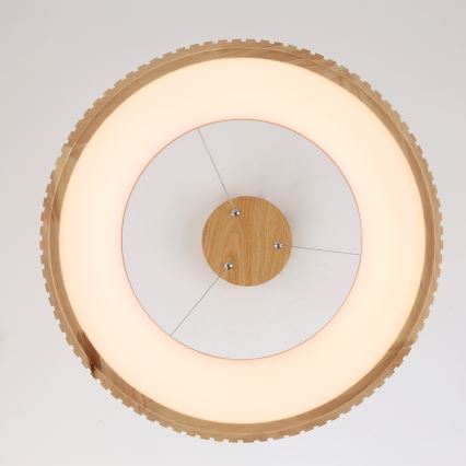 Brilagi - Suspension LED sur câble FALCON WOOD MODERN, LED 30 W, 230 V, 3000/4000/6000 K, Ø 45 cm, bois