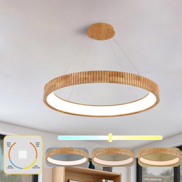 Brilagi - Suspension LED sur câble FALCON WOOD MODERN LED/60W/230V 3000/4000/6000K Ø 80 cm bois
